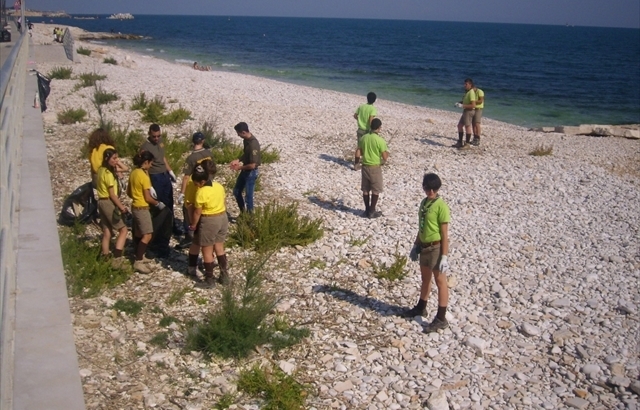 Beach litter: anche a Reggio la raccolta e il campionamento dei rifiuti sulle&nbsp;spiagge