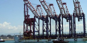 porto-gioia-tauro-cavalieri