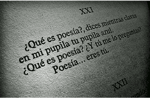 Maria Natalia Iiriti vince il XXXI Premio di poesia&nbsp;Nosside