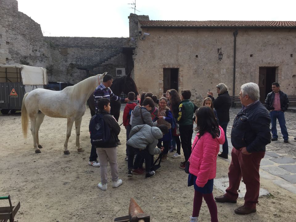 Club Unesco, inaugurata a Vibo la settimana dedicata alla Dieta&nbsp;mediterranea