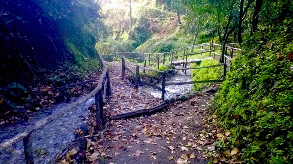Parco Aspromonte al fianco di Lpu e&nbsp;Lsu