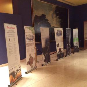 Washington bergamotto 2