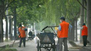 lavoro su baratto amministrativo