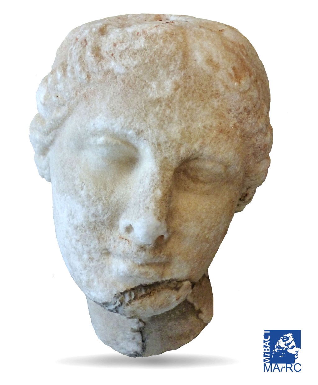 La testa femminile in marmo esposta in anteprima al Museo di Reggio per la festa delle donne