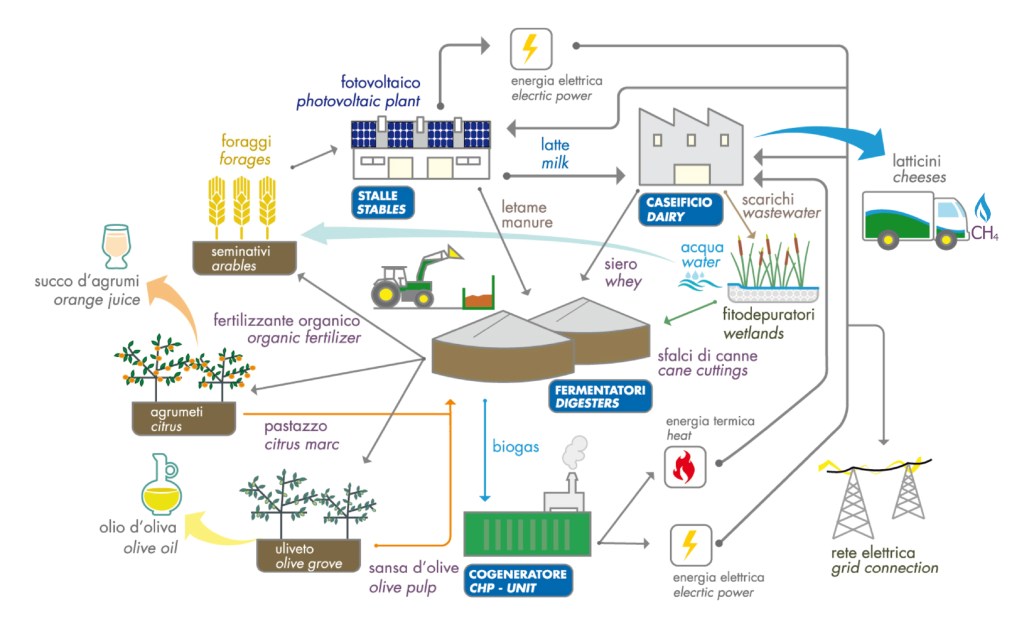 VAL.E.BIO.: pronti i primi risultati del progetto per la valorizzazione delle&nbsp;biomasse
