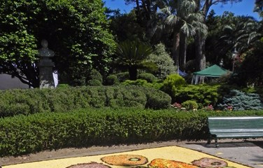 Cittanova floreale parte dal 2 al 5 giugno. Appuntamento nella Piana reggina