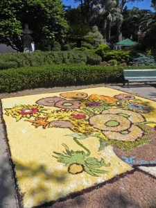 cittanova floreale villa