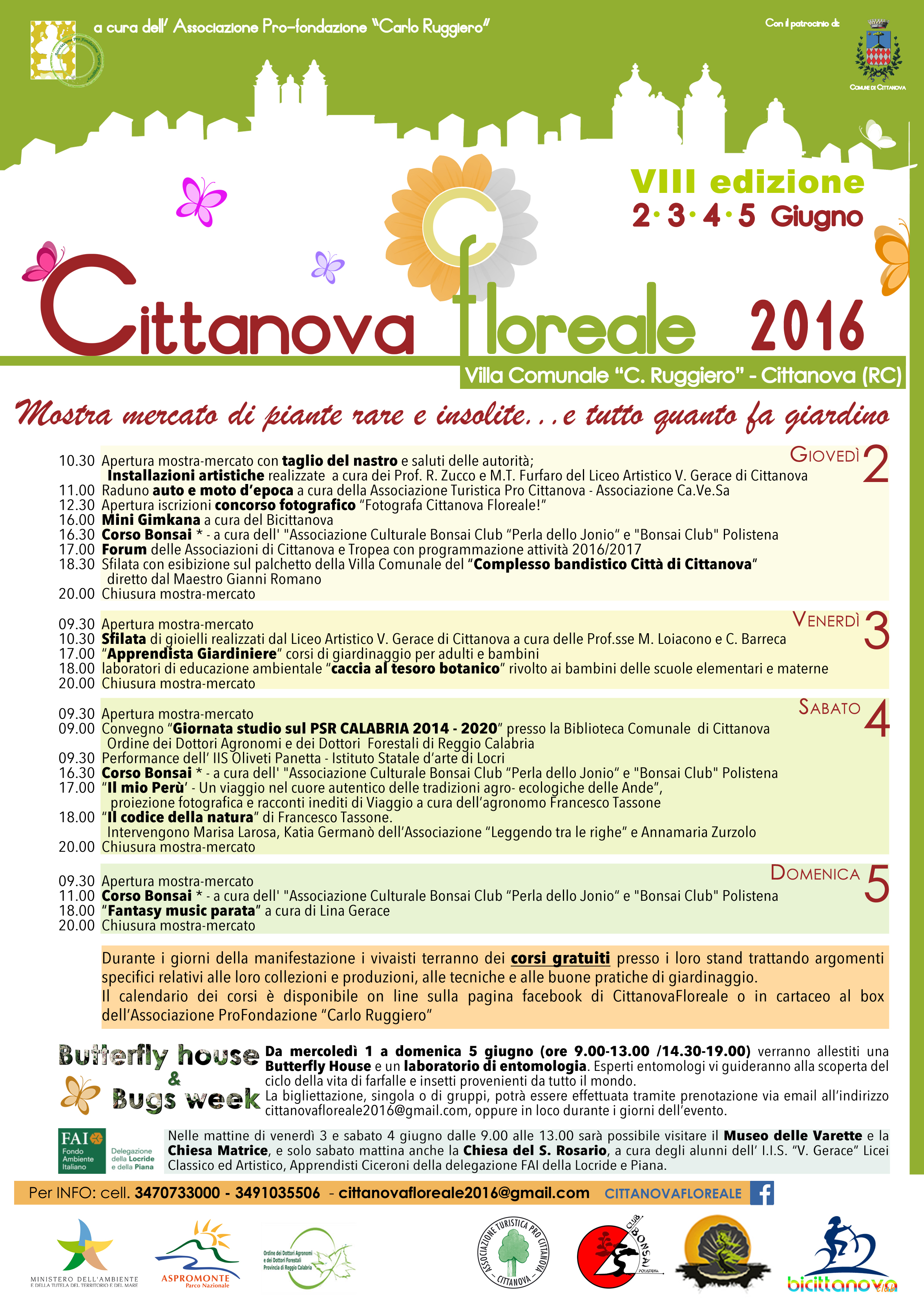 Template Piccolo formato