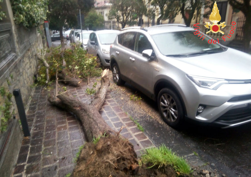 Forti raffiche di vento, disagi nel&nbsp;Catanzarese