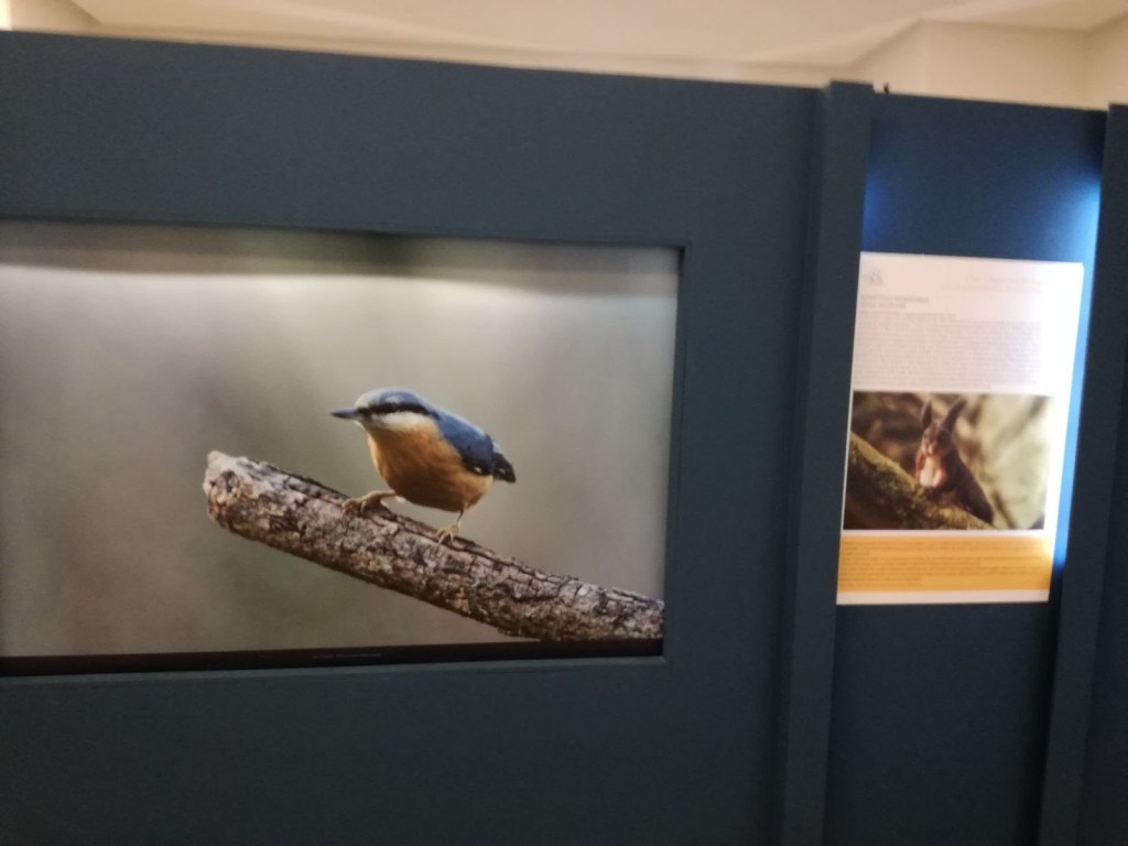 Fino al 6 maggio la mostra sulla biodiversità dell’Aspromonte