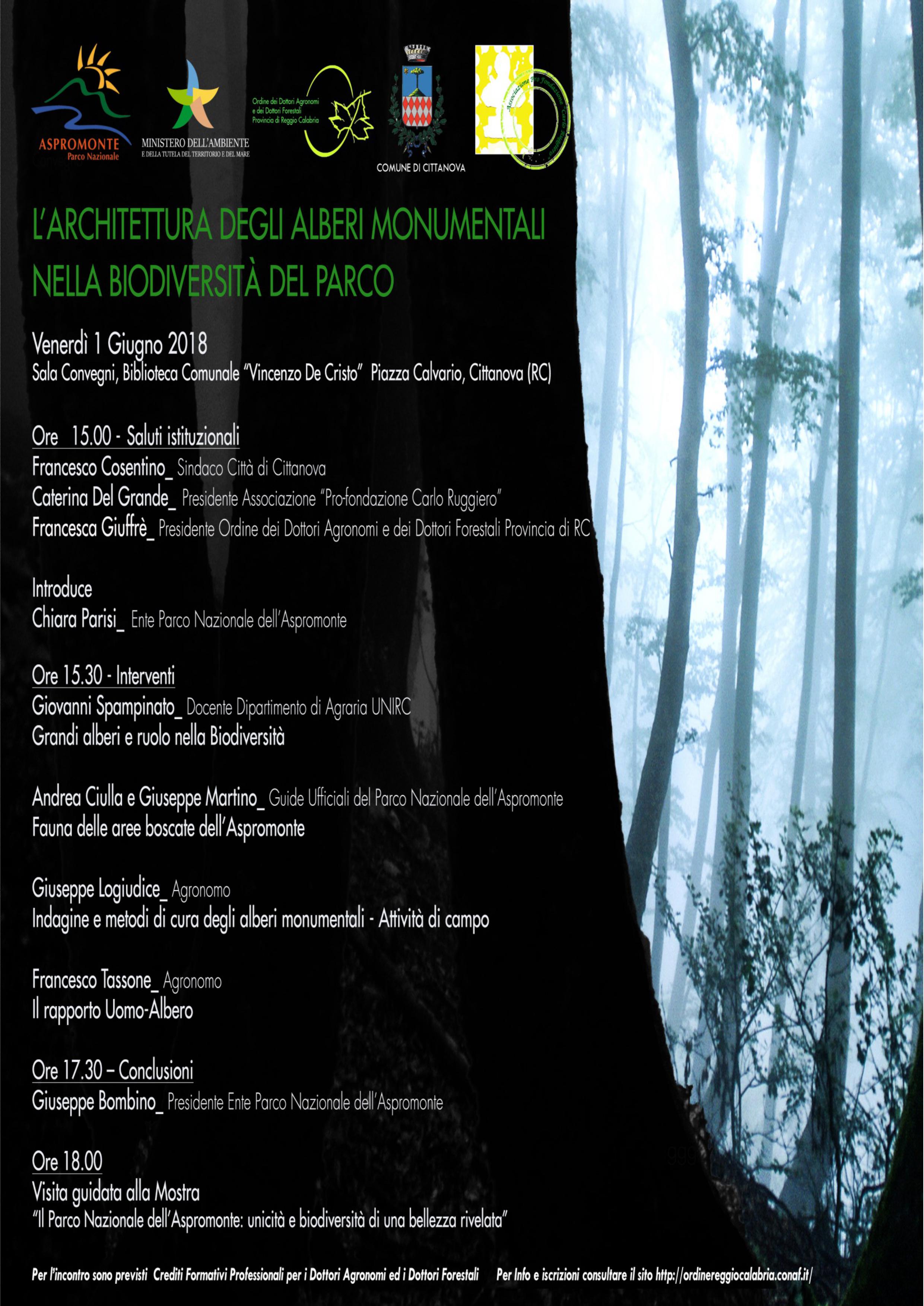 cittanova floreale parco aspromonte