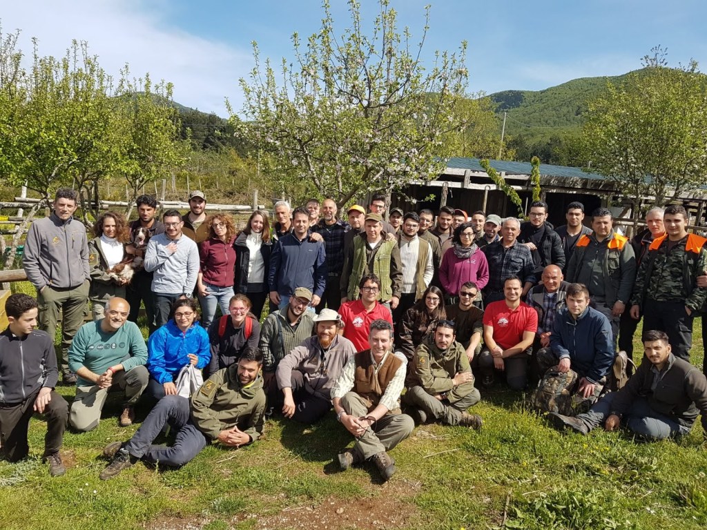 Parco d’Aspromonte, positivo il trend di crescita del Capriolo&nbsp;italico