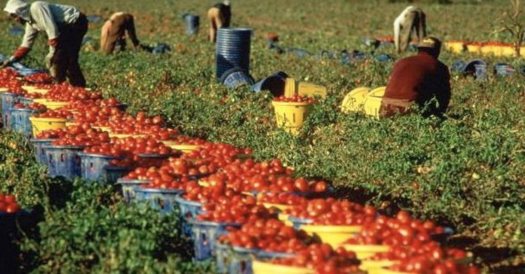 Record di “lavoratori invisibili” in Calabria: sono&nbsp;146mila