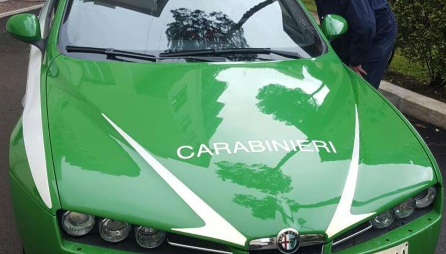 A Pietrapaola (Cs) si stoccavano rifiuti in modo&nbsp;illecito