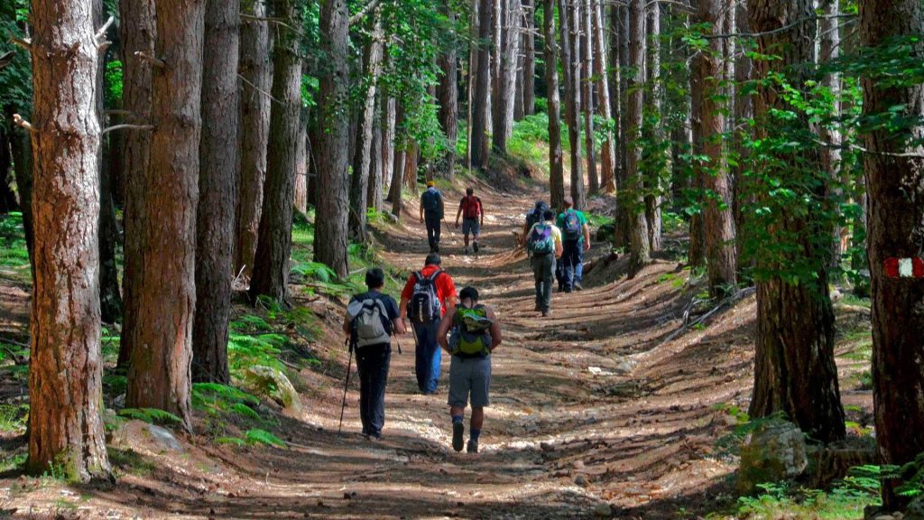 Parco dell’Aspromonte e Gea siglano un protocollo per la valorizzazione del “Sentiero del&nbsp;Brigante”